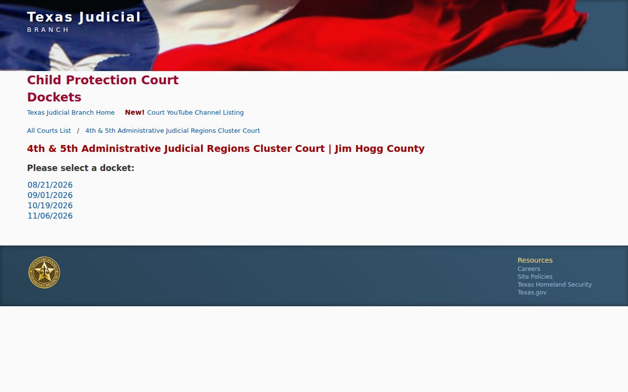 Jim Hogg County criminal court case state docket interface